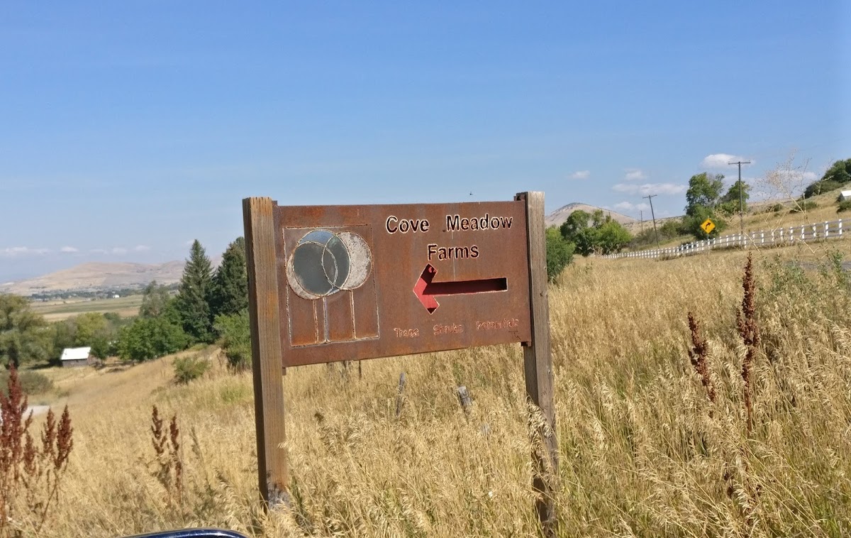 Cove Meadow Farms in Cove, Utah