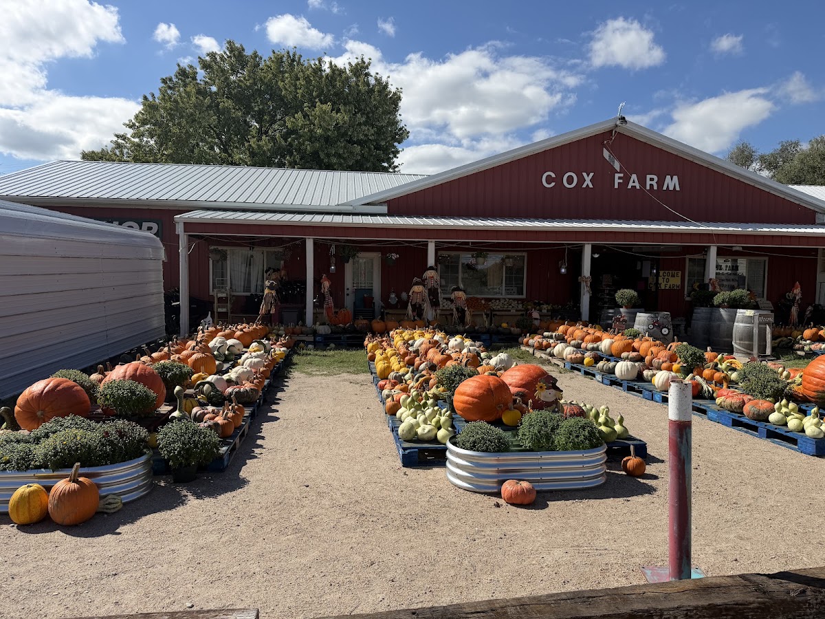 Cox Farm Wichita in Wichita, Kansas