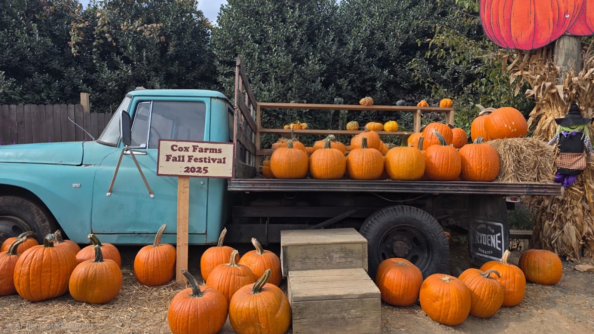Cox Farms in Centreville, Virginia