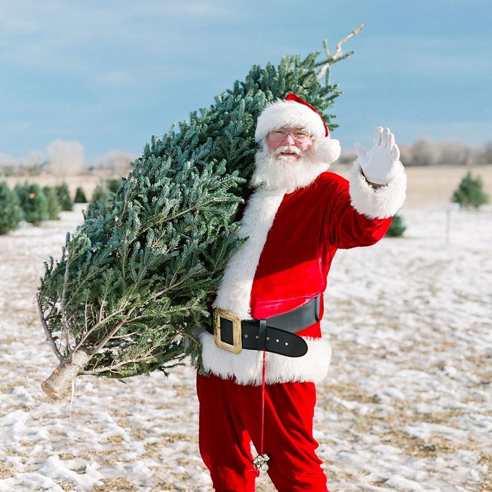 Creekside Tree Nursery in Longmont, Colorado