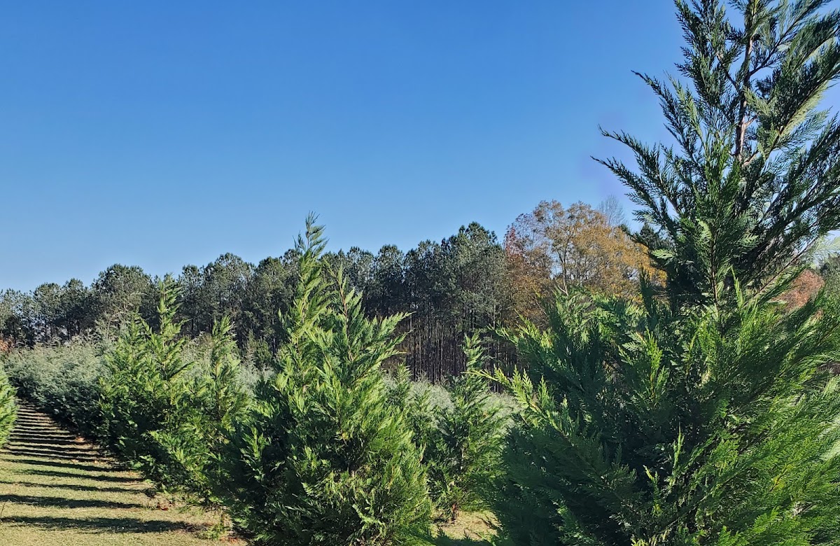 Creel’s Mill Farm in Carrollton, Georgia