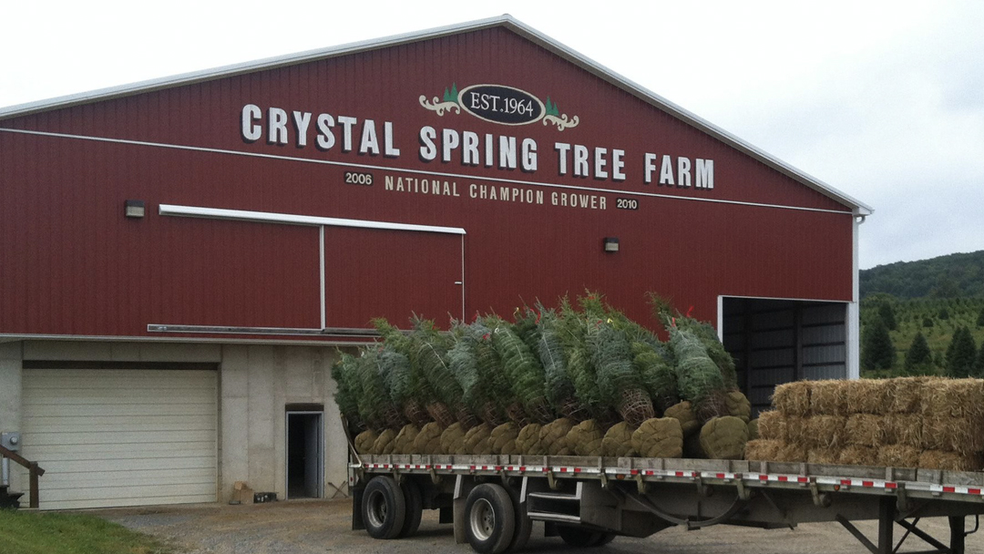 Crystal Spring Tree Farm in Lehighton, Pennsylvania