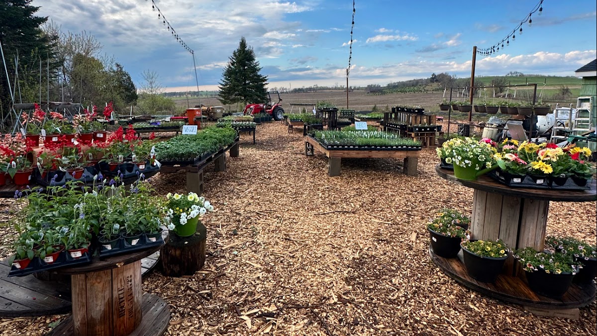 Curvue Tree Farm + Gardens in Eau Claire, Wisconsin