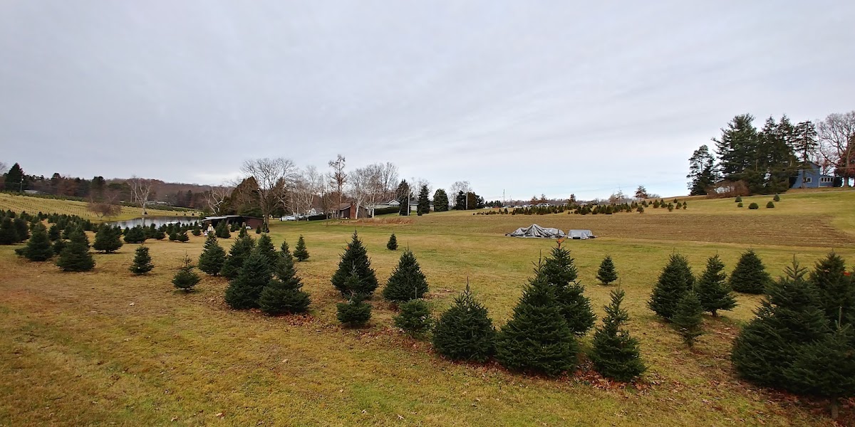 Cypher's Christmas Tree Farm in Butler, Pennsylvania