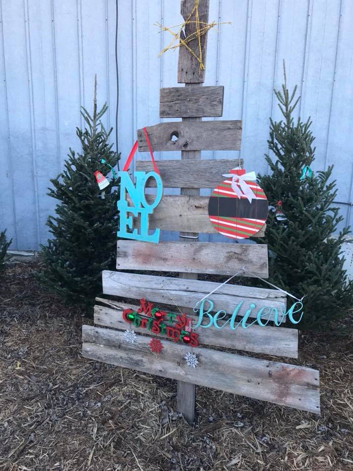 Dahnke Family Farms in Martinsville, Illinois