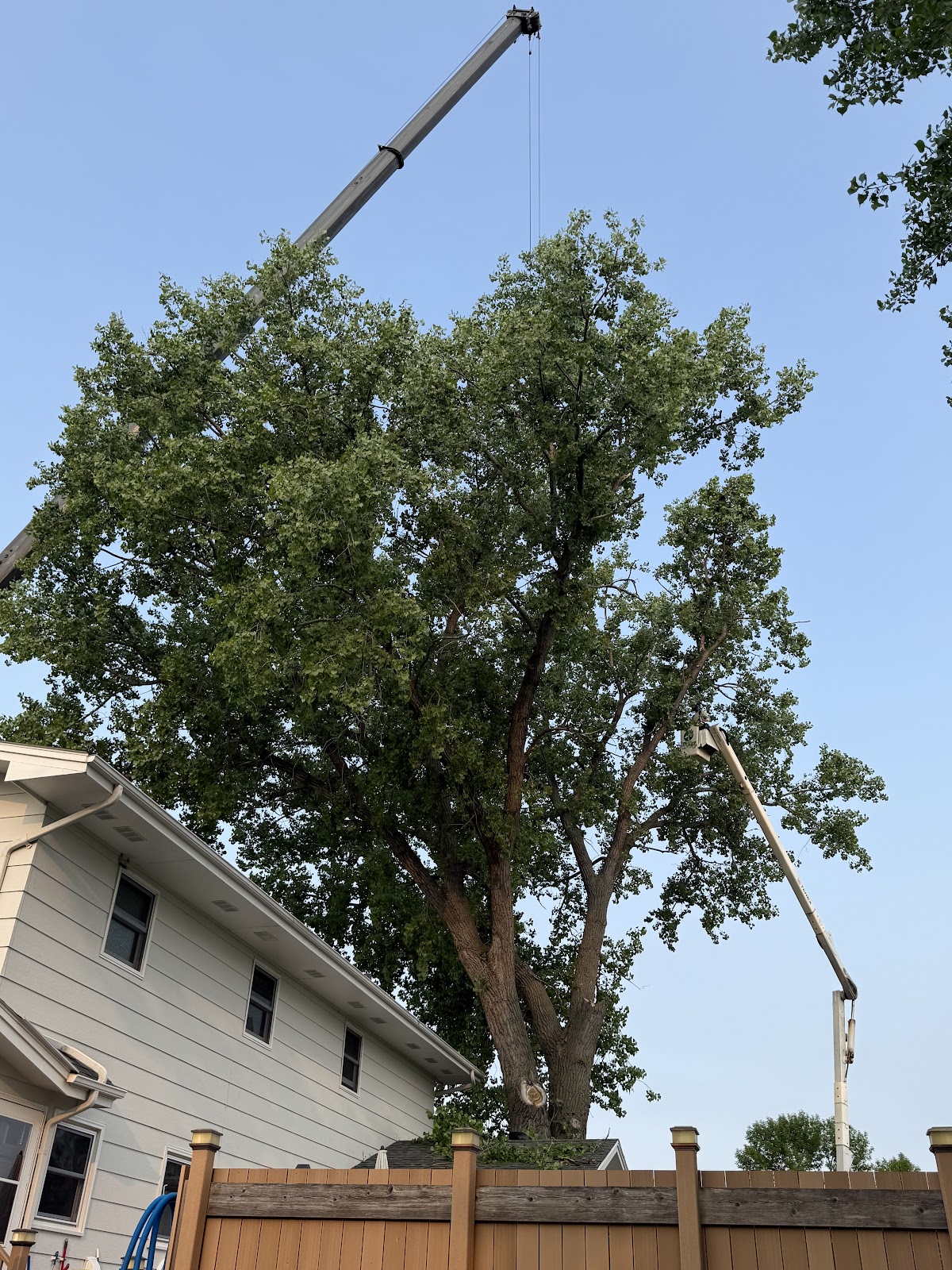 Dakota Tree Company in Aberdeen, South Dakota