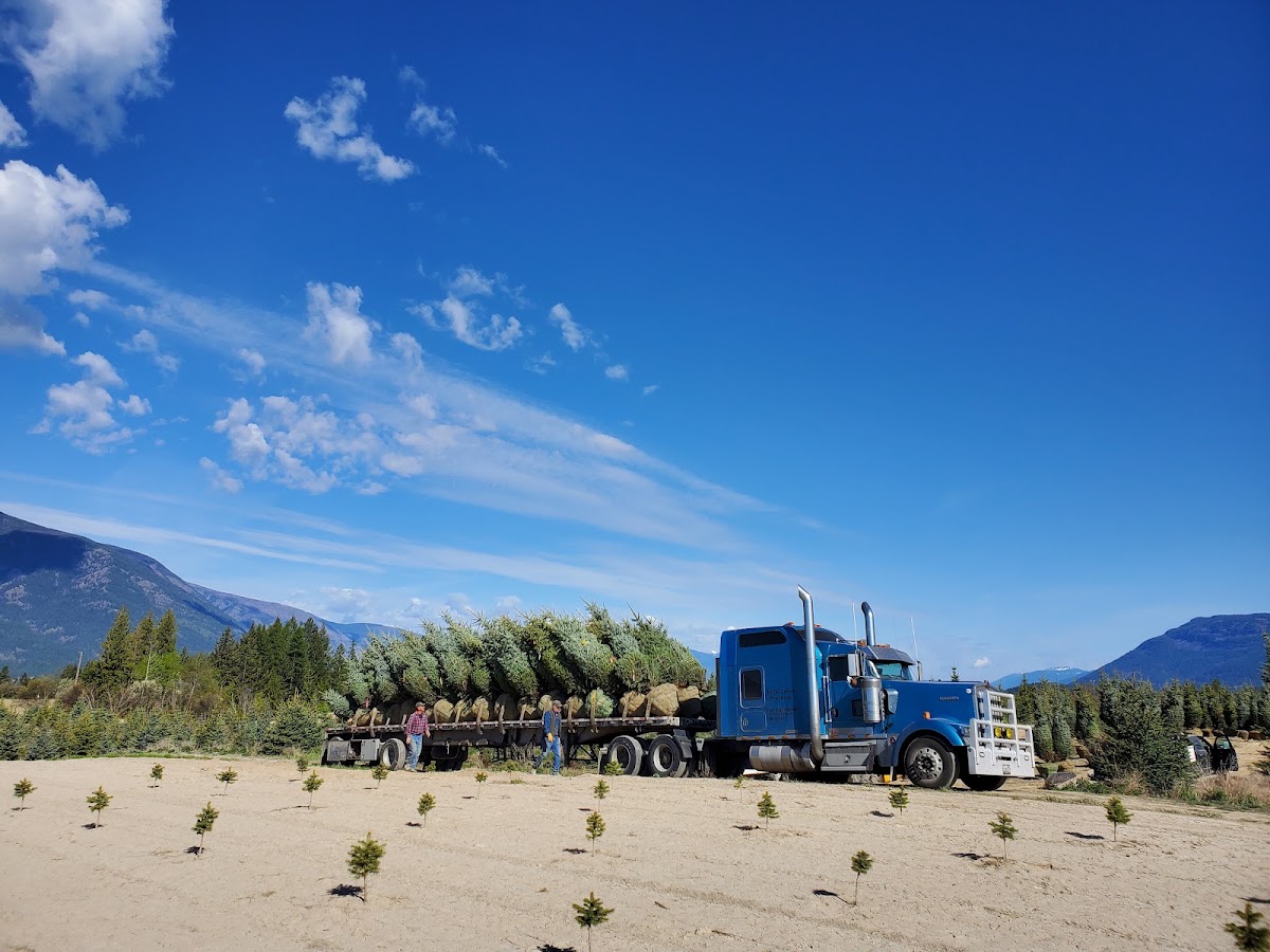 Daniel Tree Farm in Bonners Ferry, Idaho