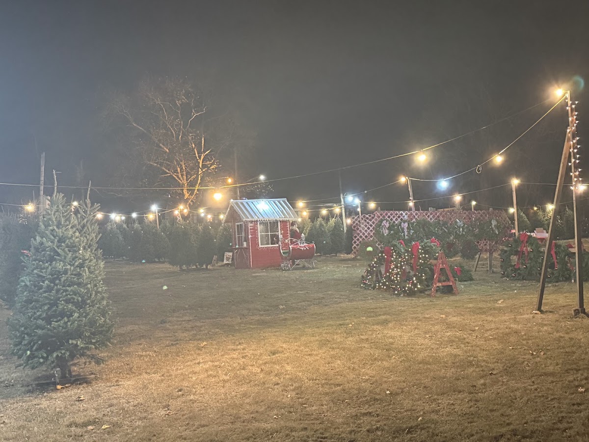 Dannys Christmas Trees and Wreaths in Eastchester, New York