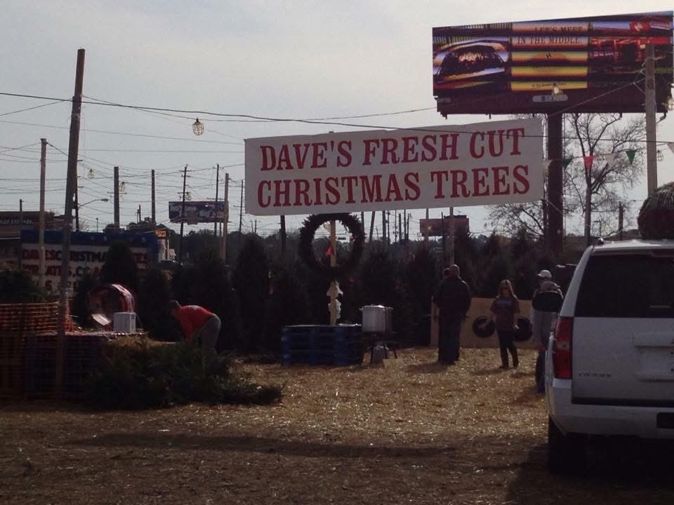 Dave’s Christmas Tree Farm in Columbus, Georgia