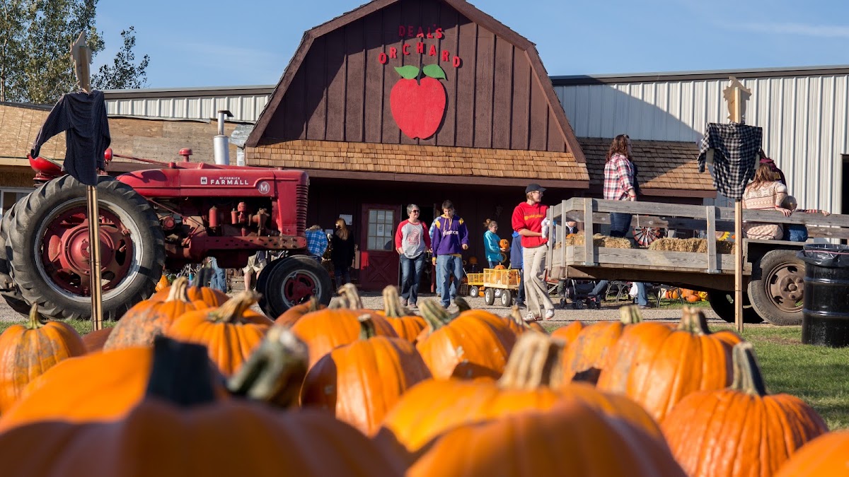 Deal's Orchard in Jefferson, Iowa