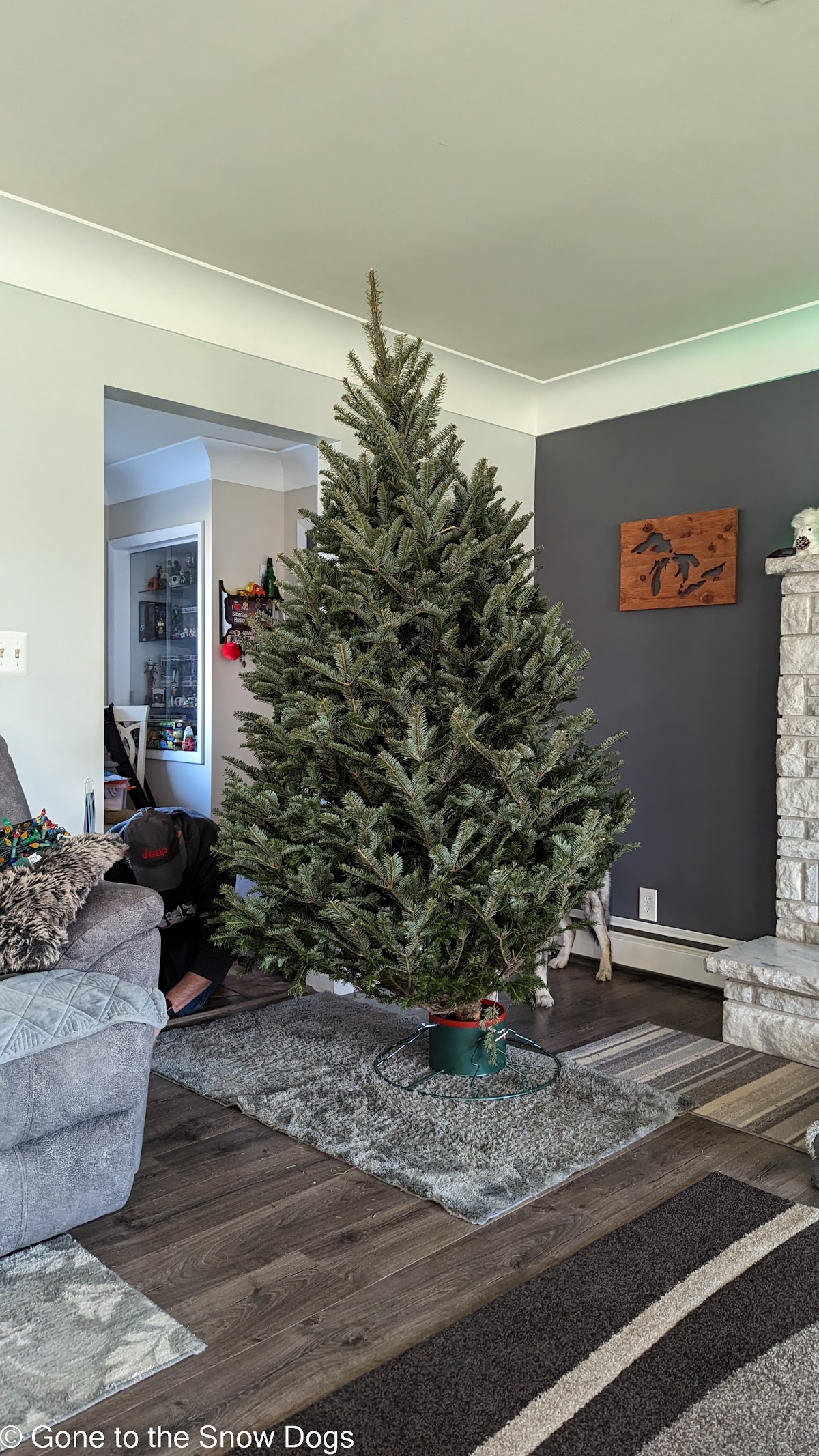 Dean's Tree Farm in Alpena, Michigan