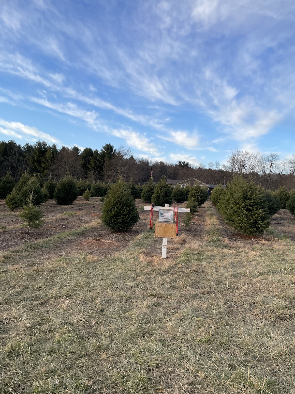 DeHaven's Christmas Tree Farm in Saylorsburg, Pennsylvania