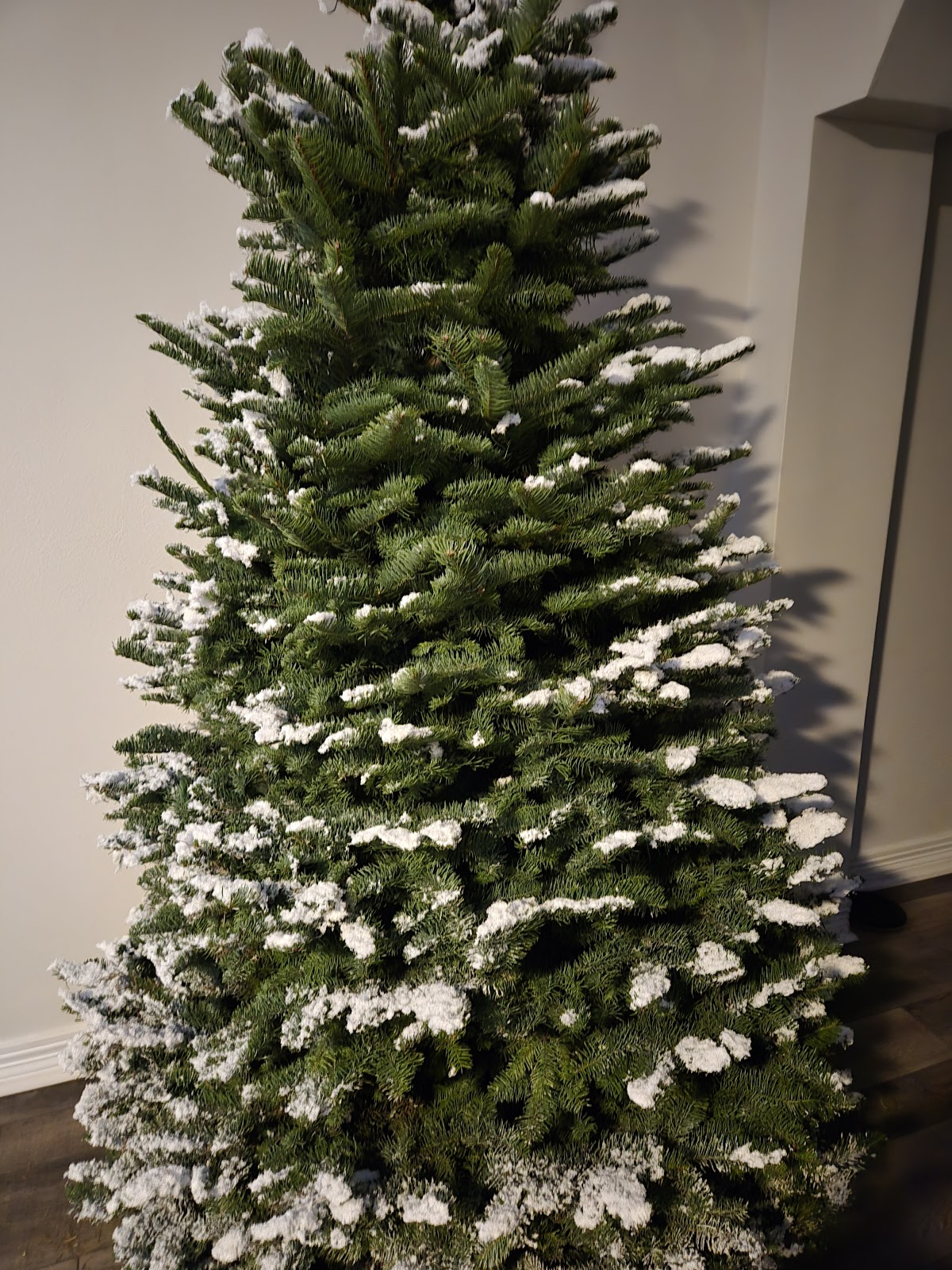 Derrick's Christmas Trees in Deer Park, Texas