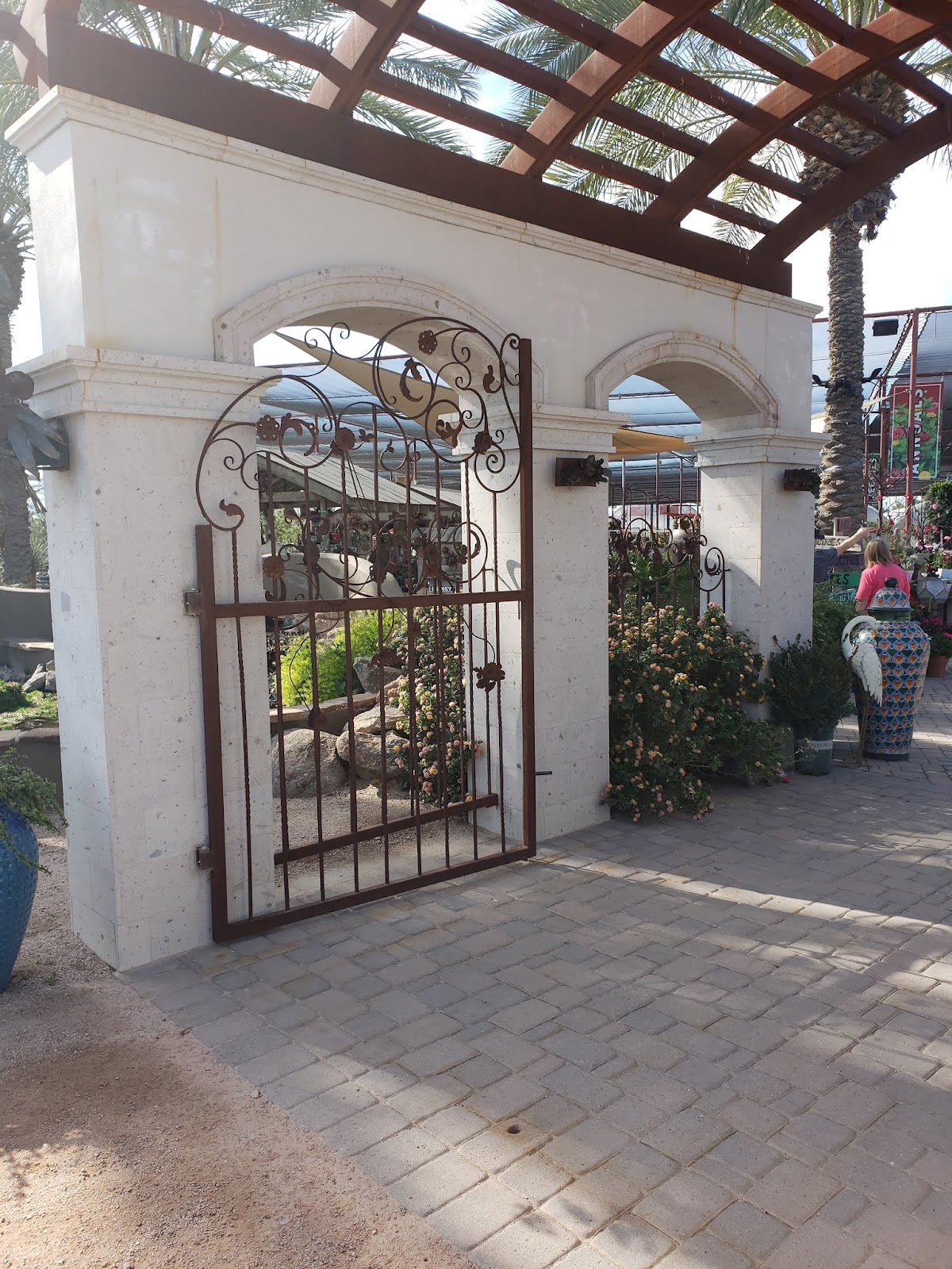 Desert Horizon Nursery in Queen Creek, Arizona