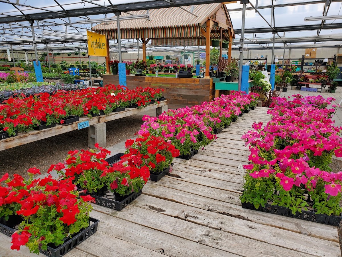 Dimond Greenhouses in Anchorage, Alaska