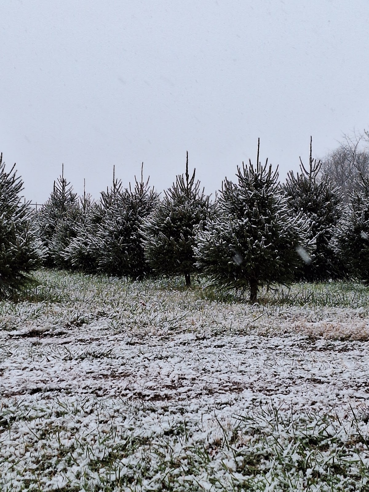 Donner Farms Virginia in Purcellville, Virginia