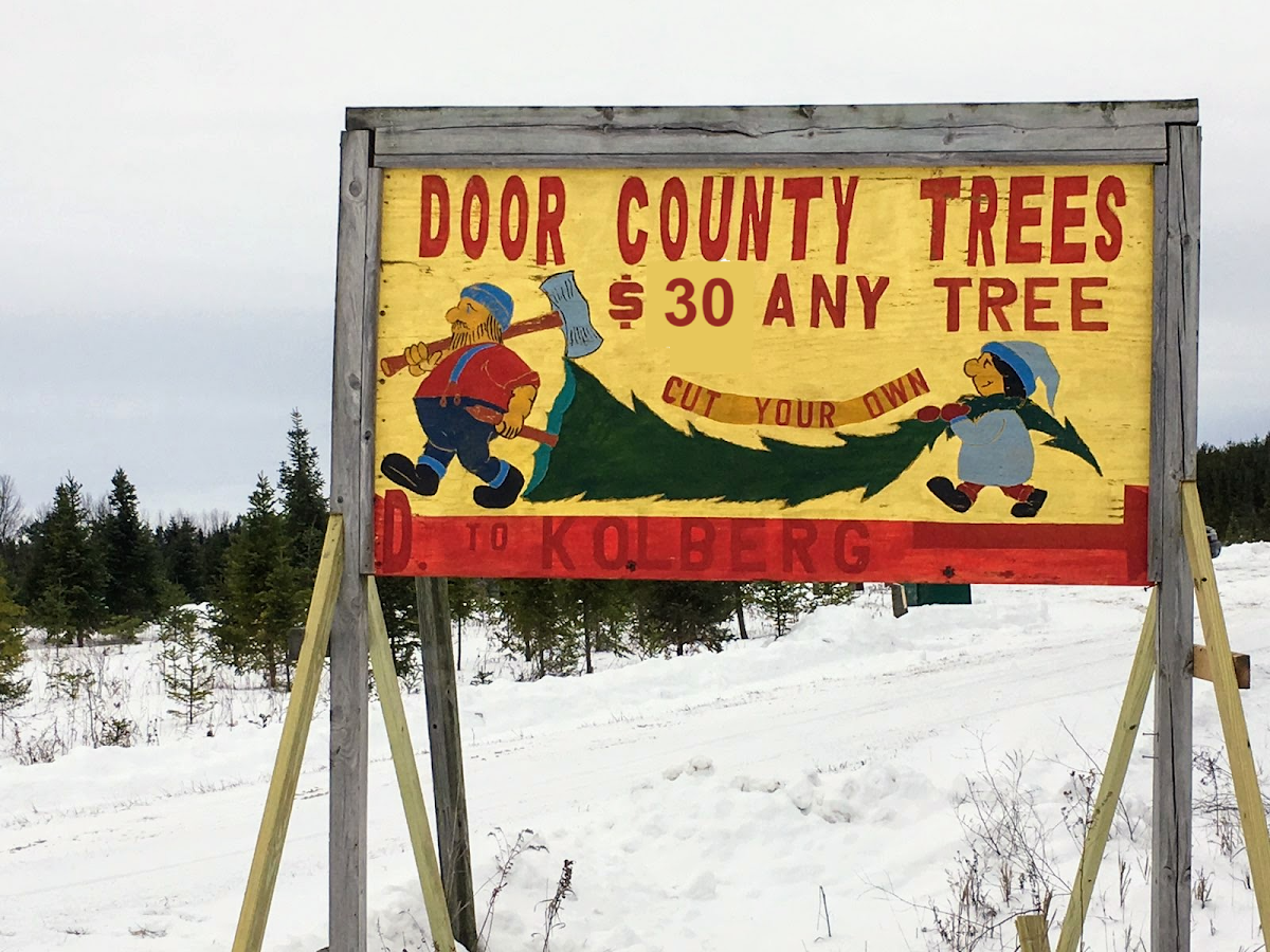 Door County Trees in Forestville, Wisconsin