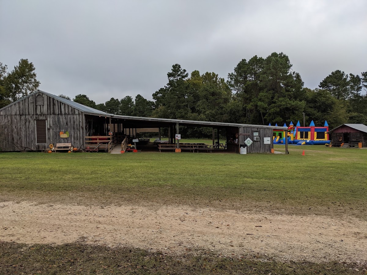 Double Creek Christmas Tree Farm in Livingston, Texas