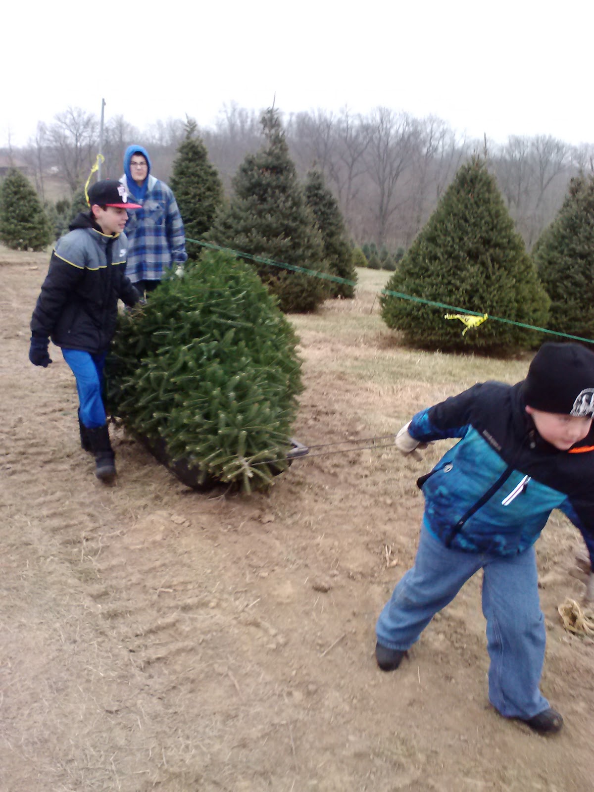 Double M Tree Farm in Richmond, Ohio