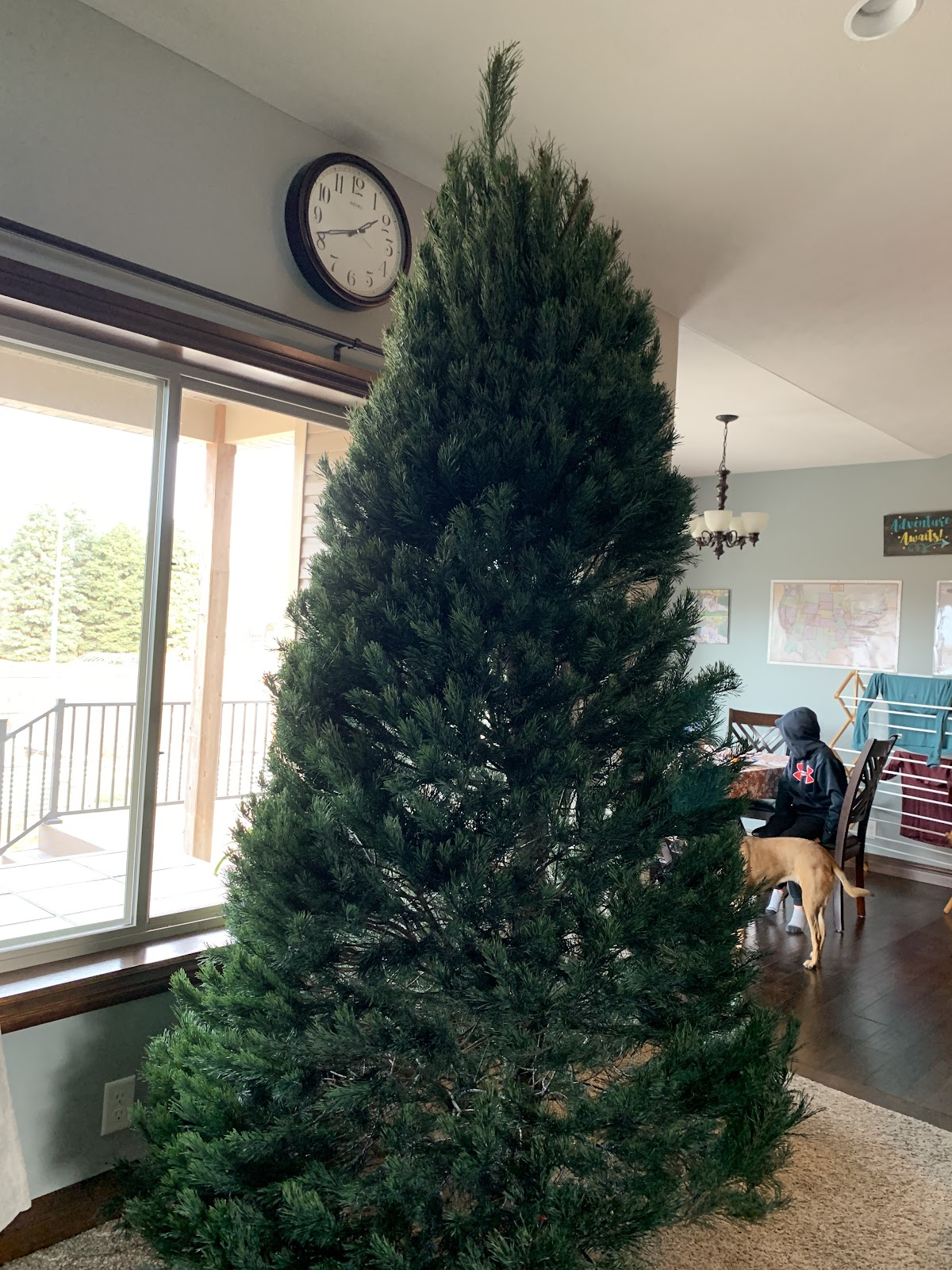 Dougherty's Tree Farm & Craft Shop in Alvo, Nebraska