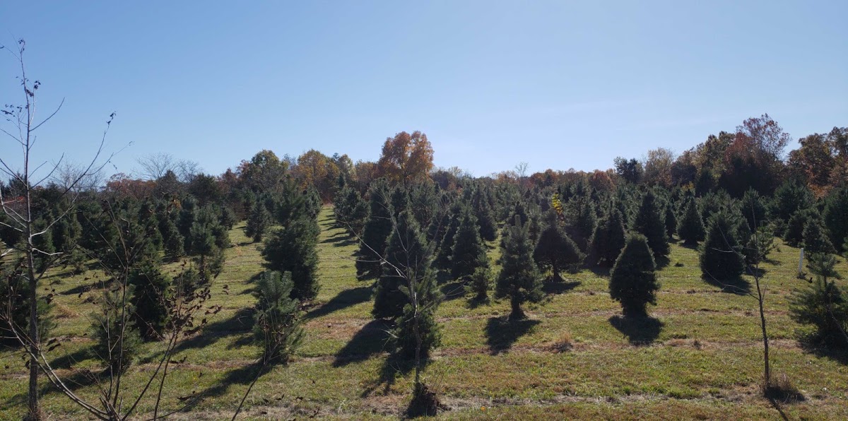 Dream Trees Farm in Gerald, Missouri
