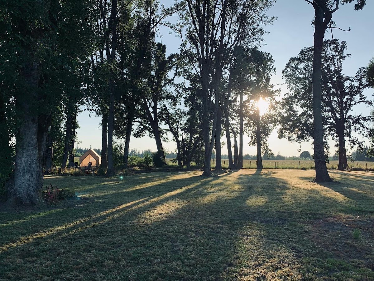 Drouhard Heritage Farms in Canby, Oregon