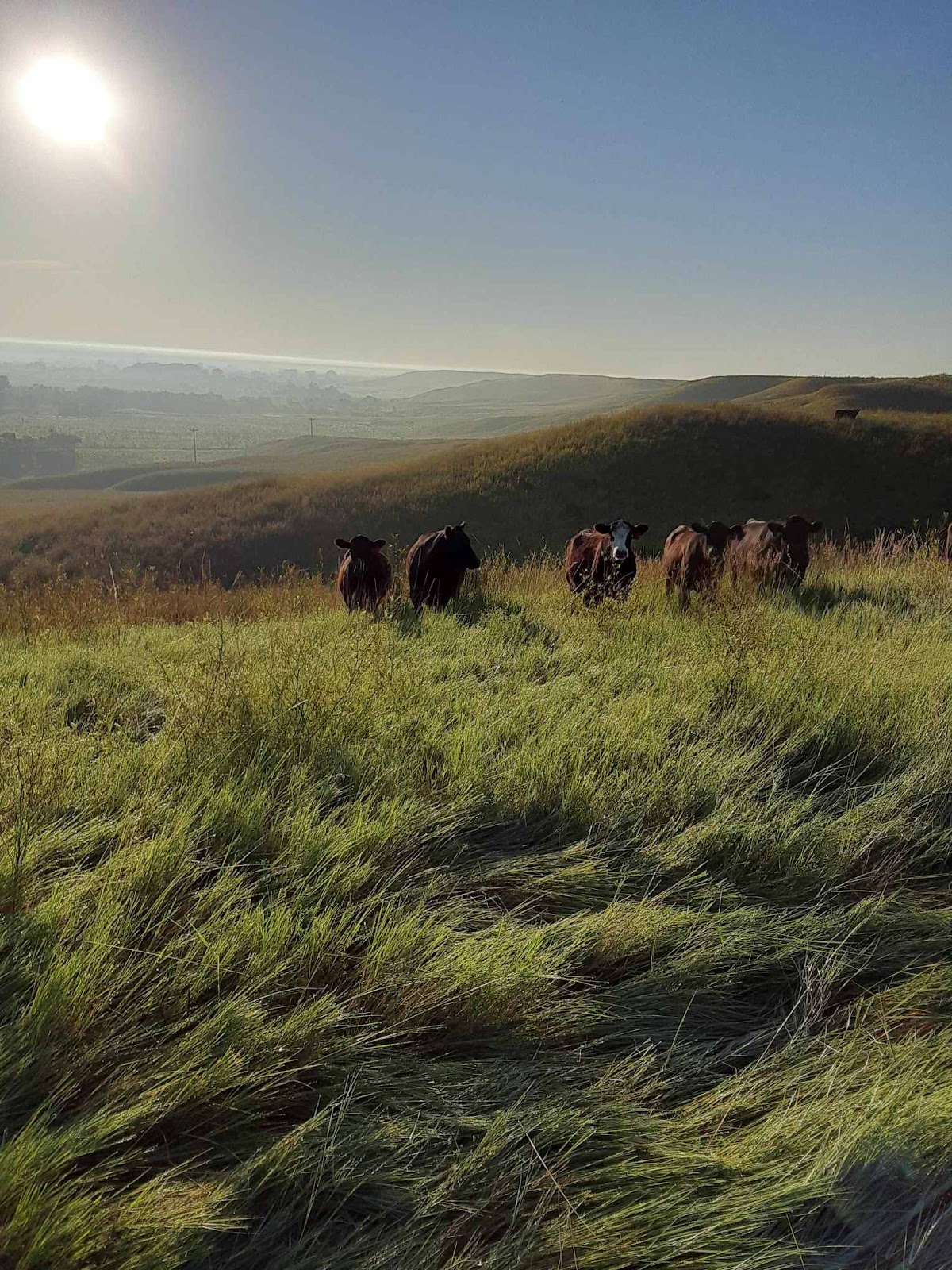 Dry Creek Farm & Ranch in Caputa, South Dakota