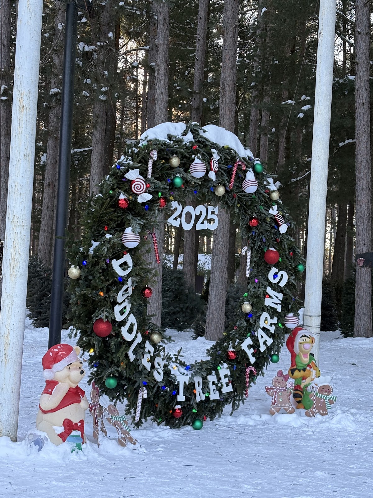 Duddles Tree Farms in Reed City, Michigan