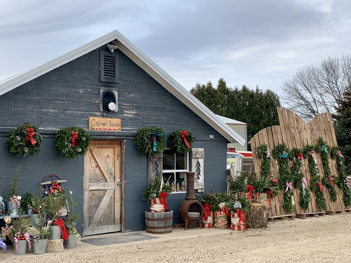 East Wind Christmas Tree Farm in Marshall, Wisconsin