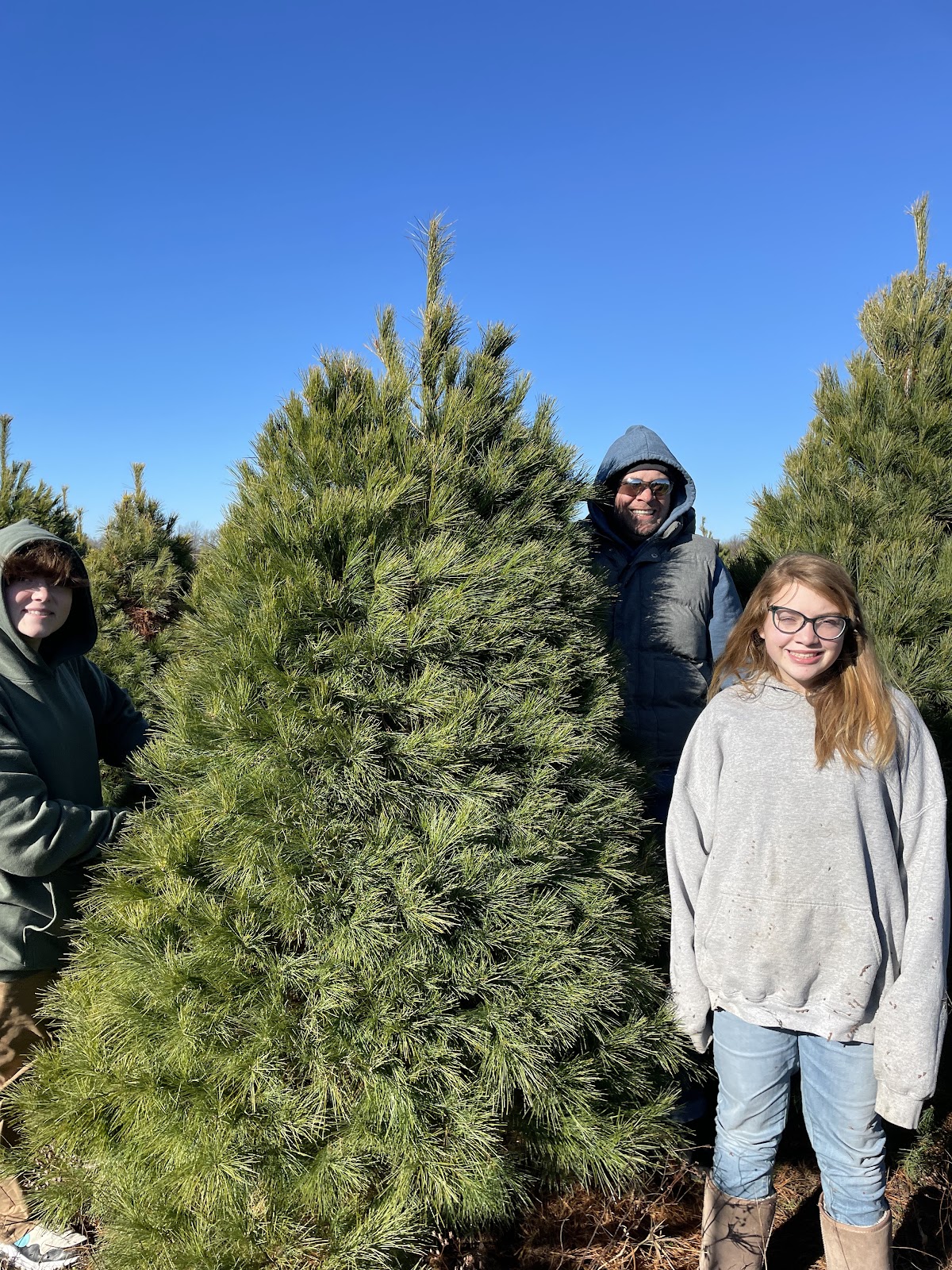 Eby’s Evergreen Plantation in Bristol, Indiana