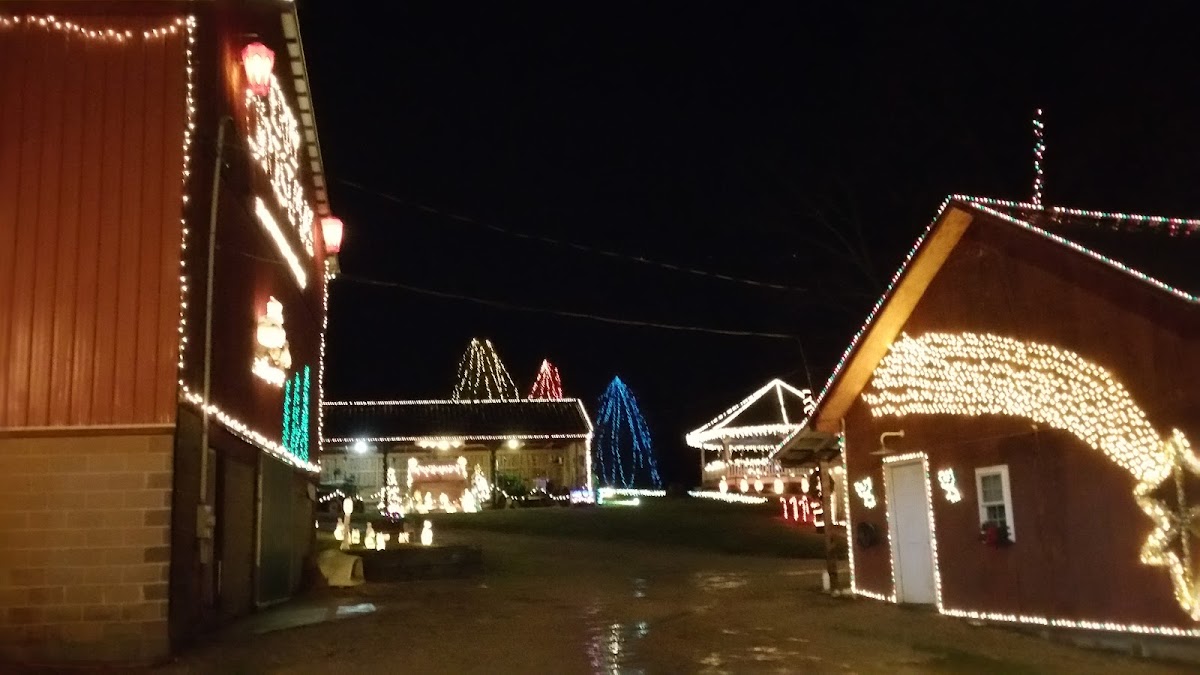 Eichel's Christmas Tree Farm in West Salem, Ohio