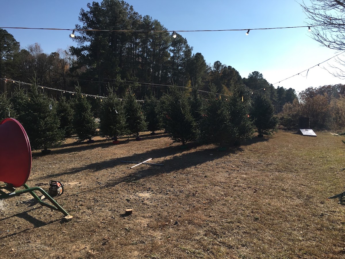 Elk Mountain Christmas Trees in Durham, North Carolina