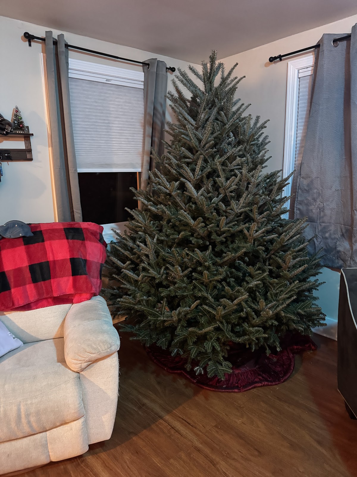 Ellsworth Tree Farm in Northborough, Massachusetts