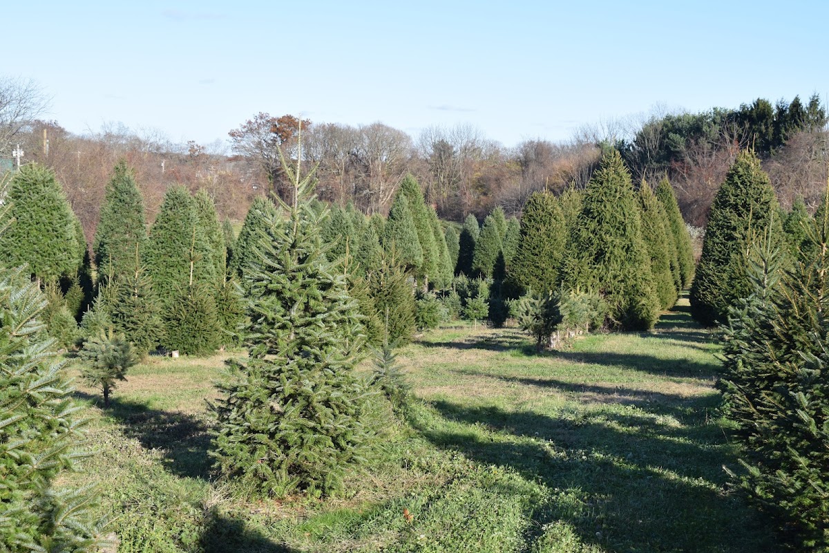 Elwood Pumpkin Farm in Huntington, New York