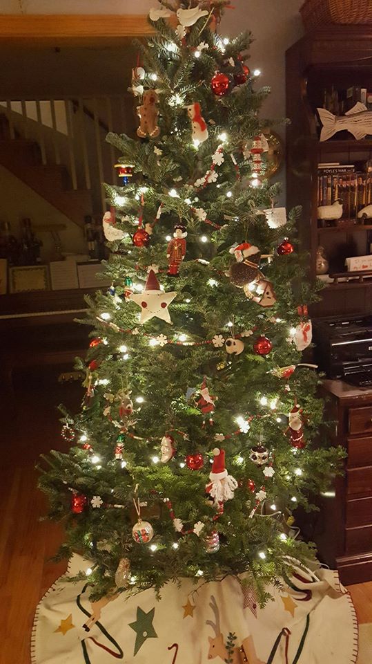 Emerson Family Tree Farm in Greenfield, Massachusetts