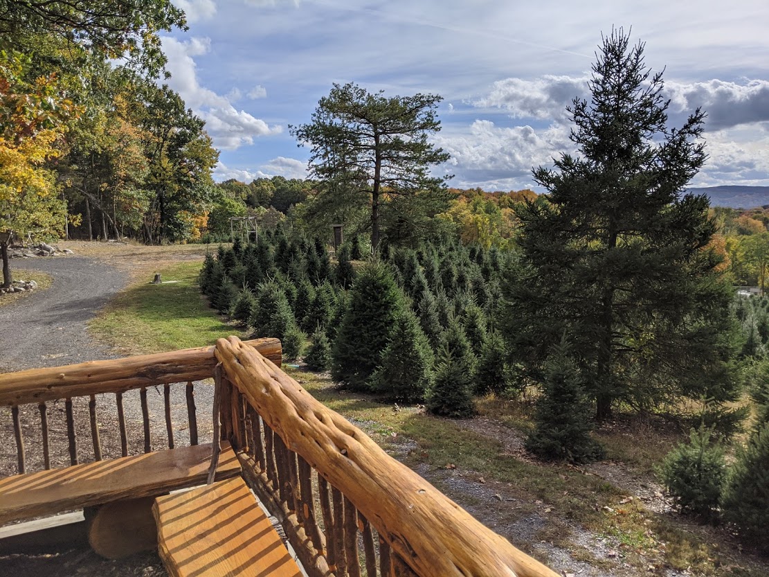Emmerich Tree Farm in Warwick, New York