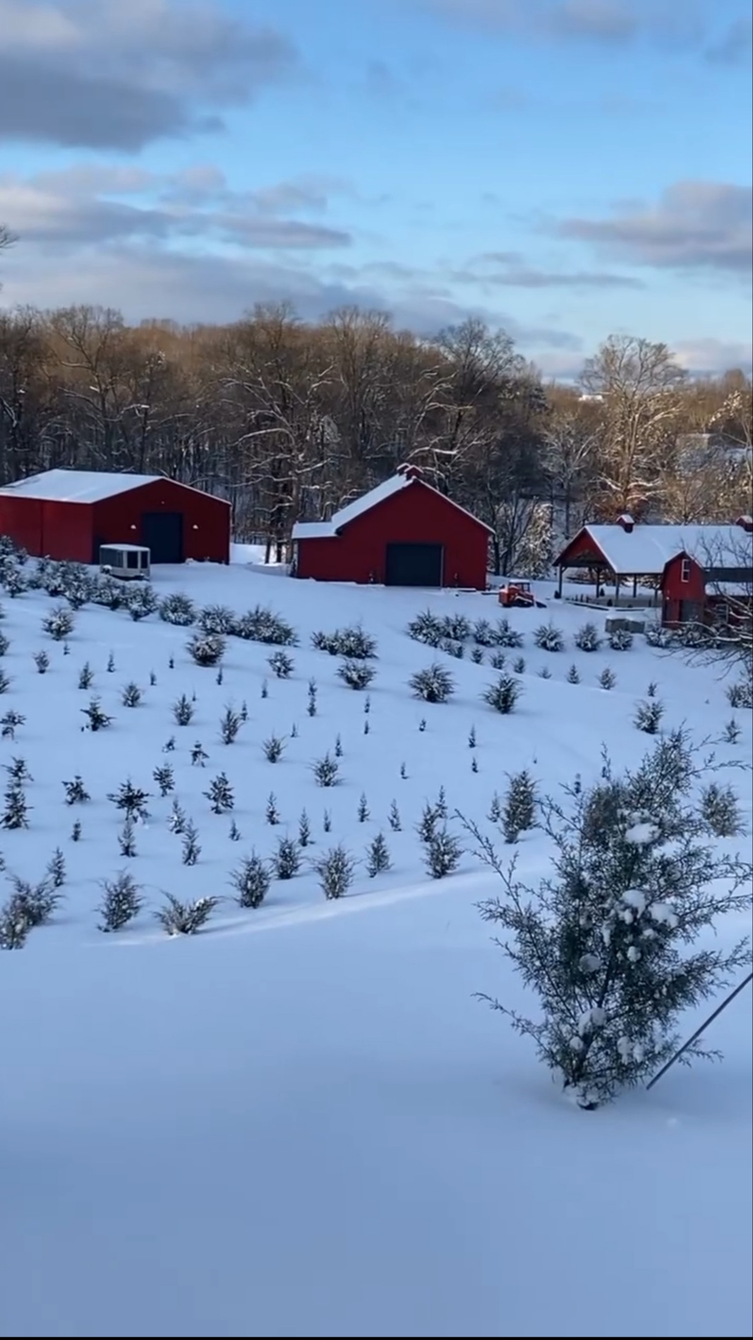 Enchanted Farms in Powell, Tennessee