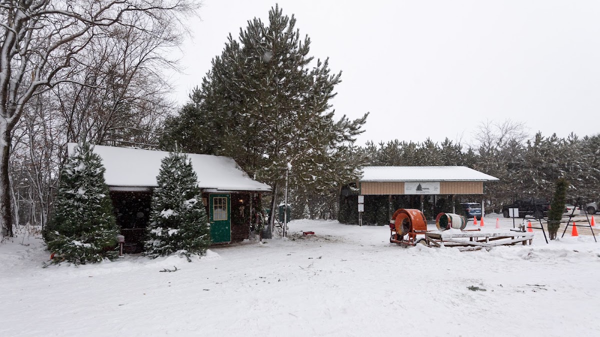 Enzenauer Evergreens in Kenyon, Minnesota