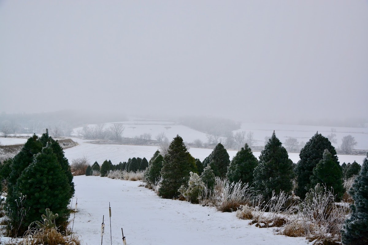 Evergreen Acres in Denison, Iowa