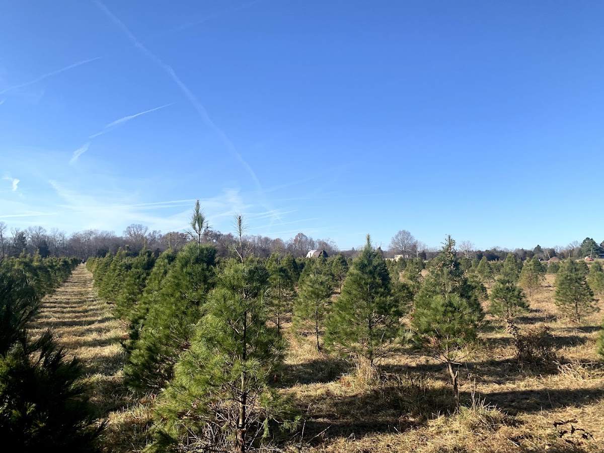Evergreen Acres in Nokesville, Virginia