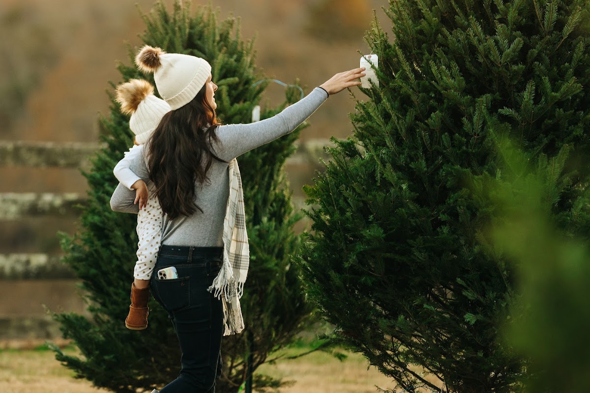 Evergreen Traditions in Easley, South Carolina