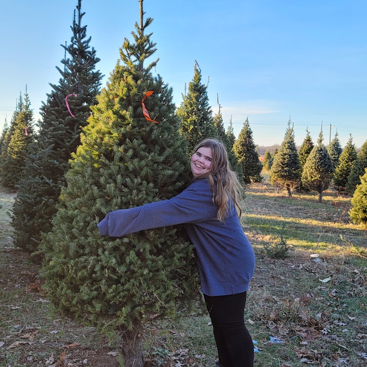 Fairfield Tree Farm in Pine City, Minnesota