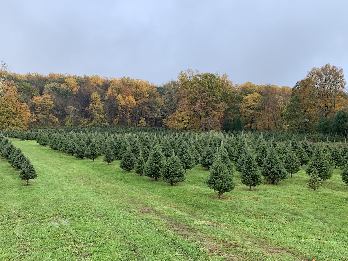Fairview Farm in Washington Township, New Jersey