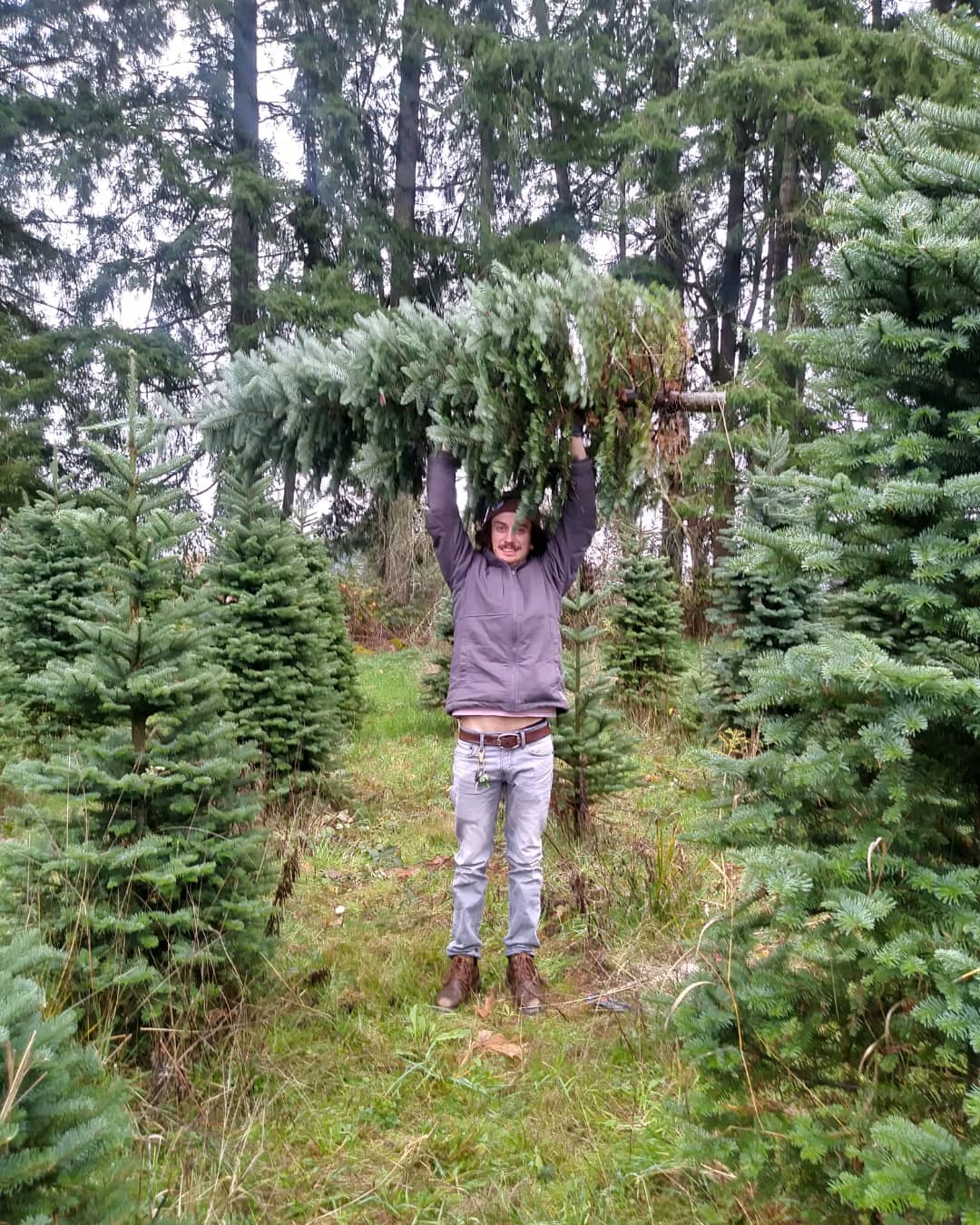 Fanno Farm U Cut in Eagle Creek, Oregon