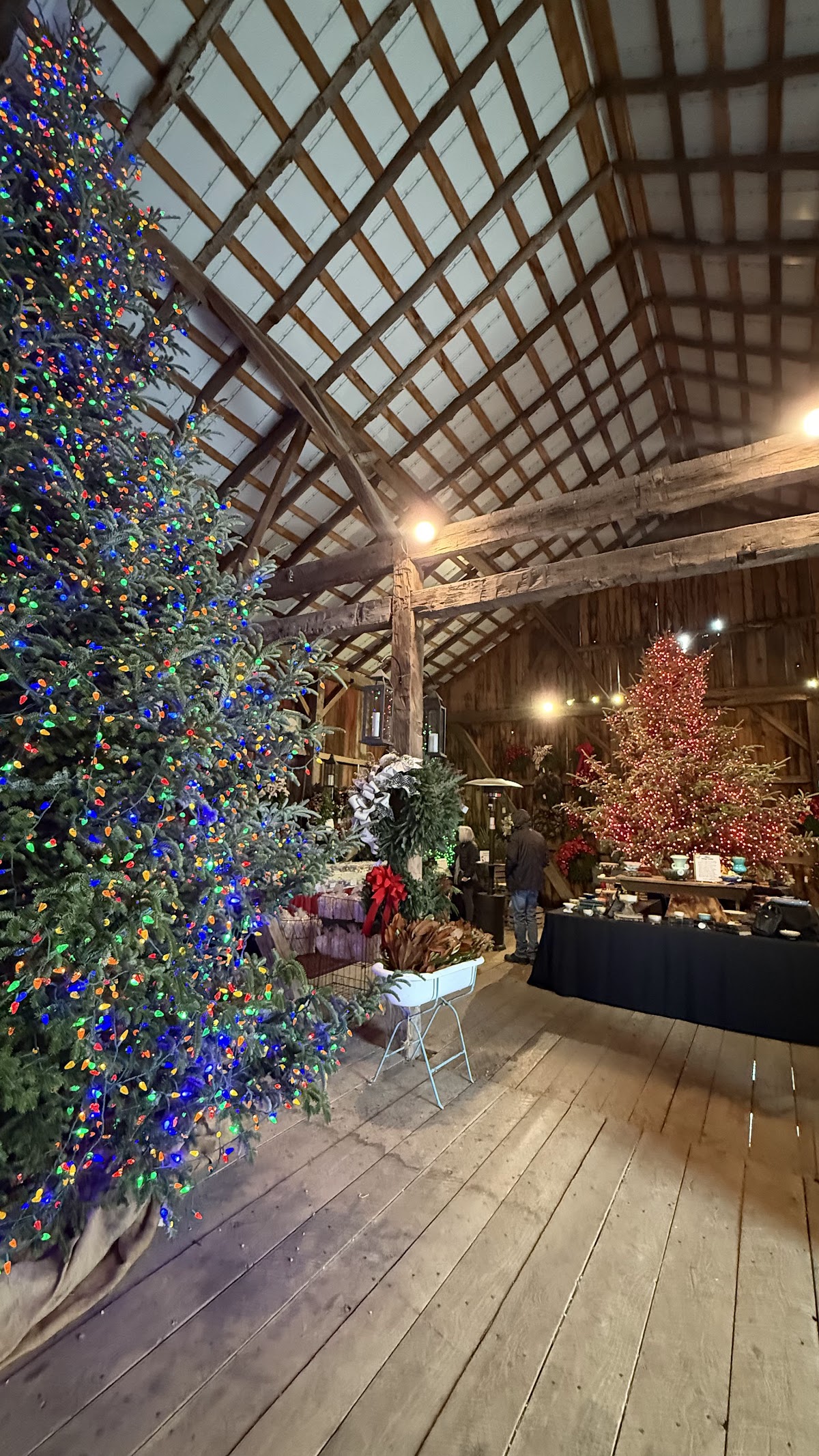 Feisley Tree Farms in Belmont, Ohio