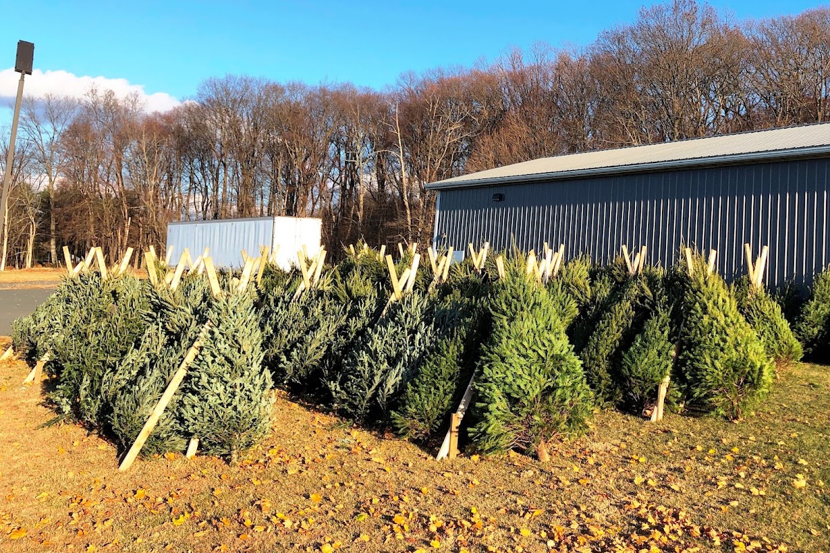 Firehouse Trees in Zionsville, Pennsylvania