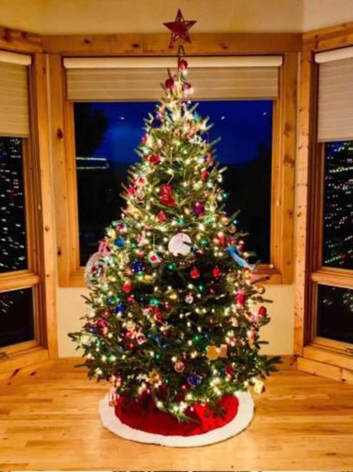 Fireside Christmas trees in Evergreen, Colorado