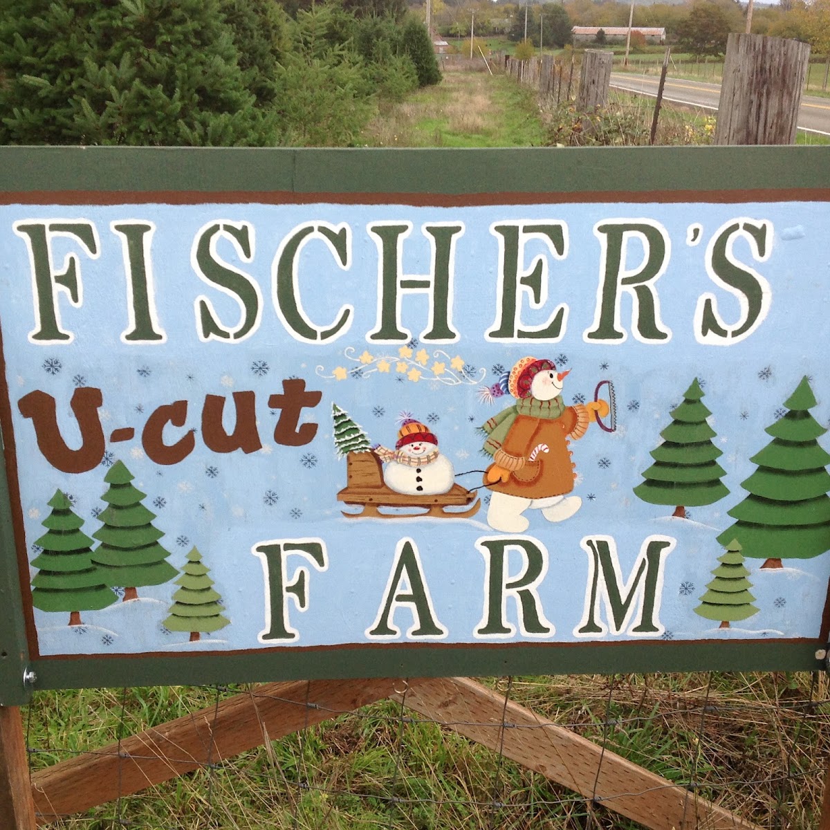 Fischer's U-Cut Christmas Trees in Washougal, Washington