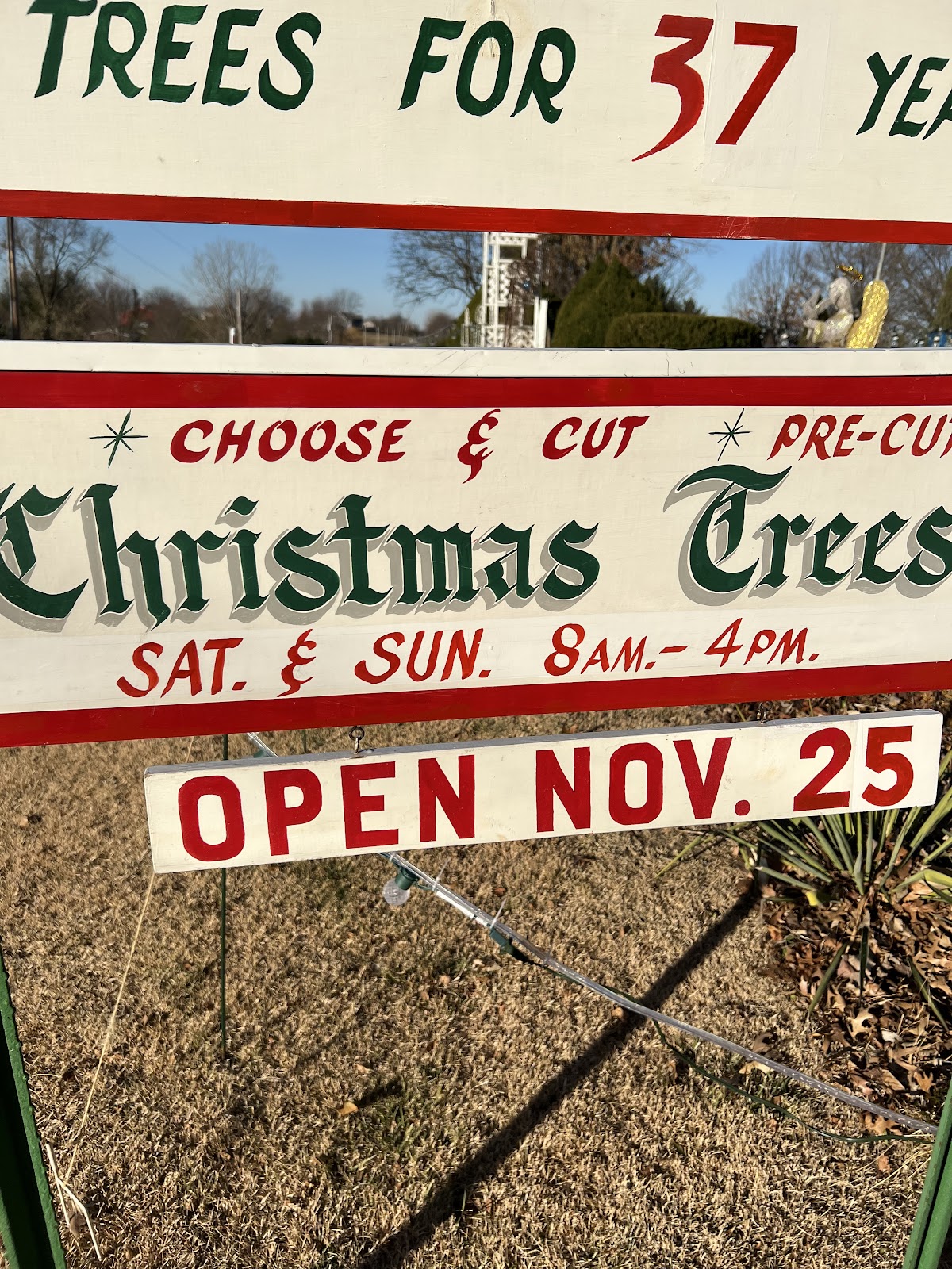 Fisher Christmas Trees in Marseilles, Illinois