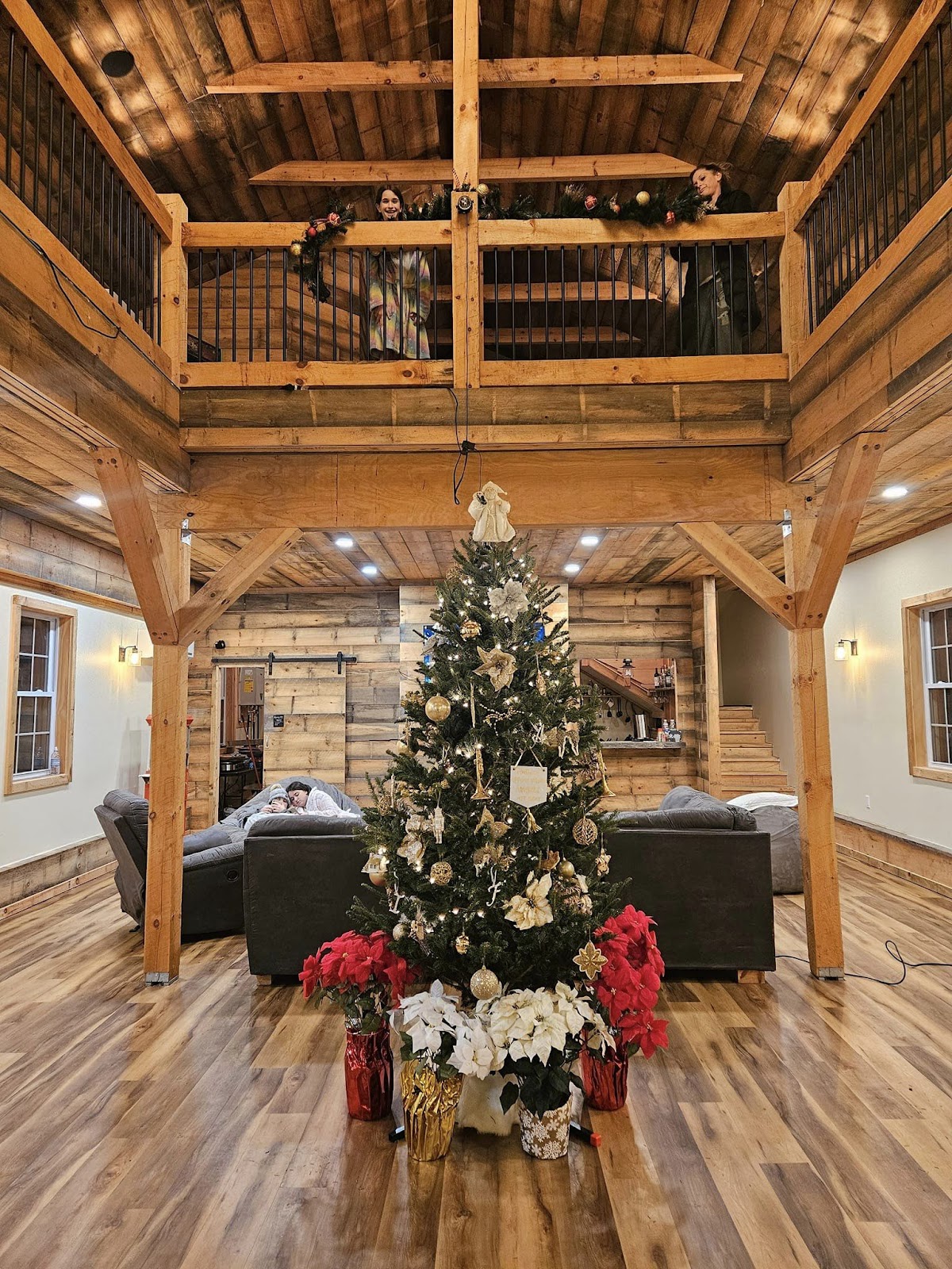 Fitch Family Farm/ Scotts Christmas Trees in Andover, Connecticut